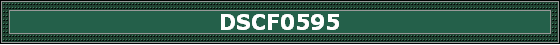 DSCF0595