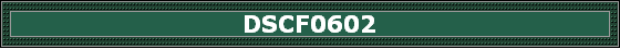 DSCF0602