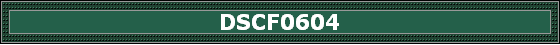 DSCF0604