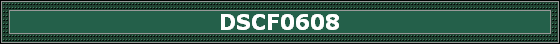 DSCF0608