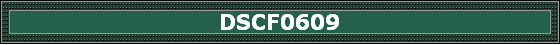 DSCF0609