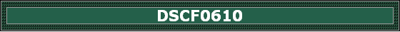 DSCF0610