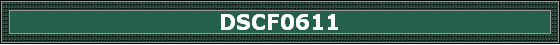 DSCF0611