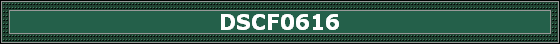 DSCF0616