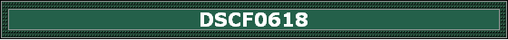 DSCF0618