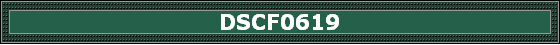 DSCF0619