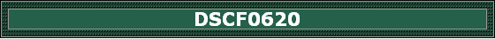 DSCF0620
