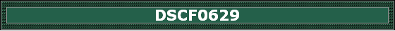 DSCF0629