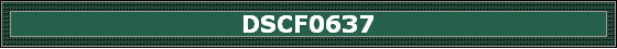 DSCF0637