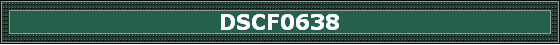 DSCF0638