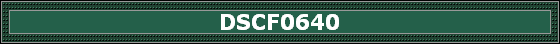 DSCF0640