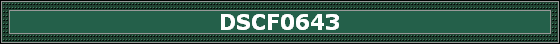 DSCF0643