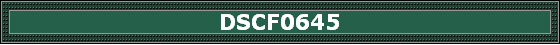 DSCF0645