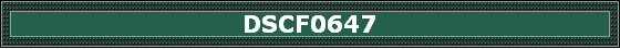 DSCF0647