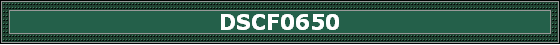 DSCF0650