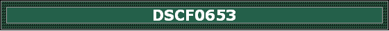 DSCF0653