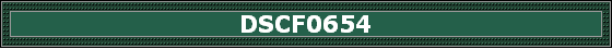 DSCF0654