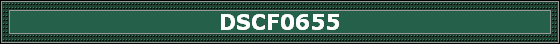 DSCF0655