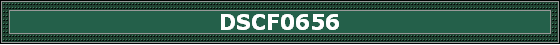 DSCF0656