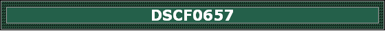 DSCF0657