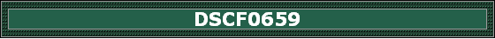 DSCF0659