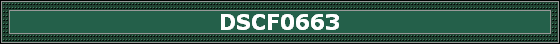 DSCF0663