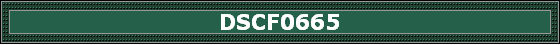 DSCF0665