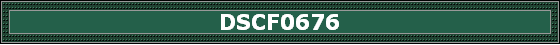 DSCF0676
