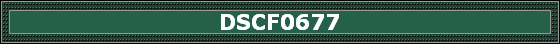 DSCF0677
