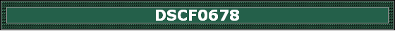 DSCF0678