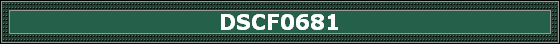 DSCF0681