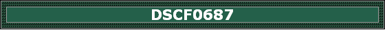 DSCF0687