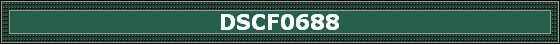 DSCF0688