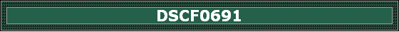 DSCF0691