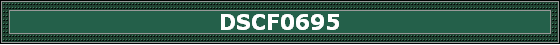 DSCF0695