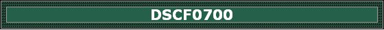 DSCF0700