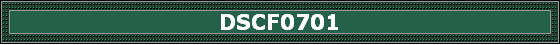 DSCF0701