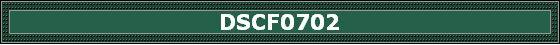DSCF0702