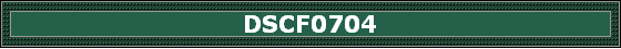 DSCF0704