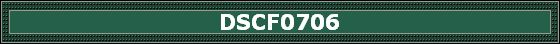 DSCF0706