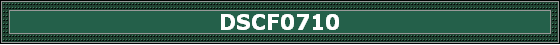 DSCF0710