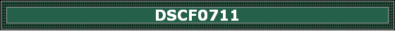 DSCF0711