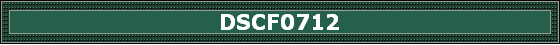 DSCF0712