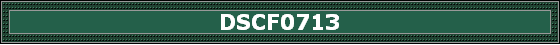 DSCF0713