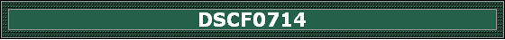 DSCF0714