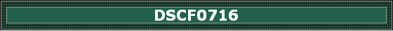 DSCF0716