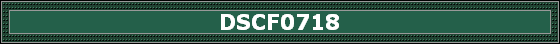 DSCF0718