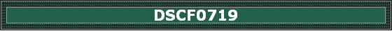 DSCF0719