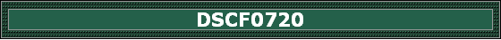 DSCF0720