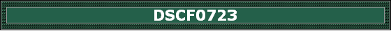 DSCF0723